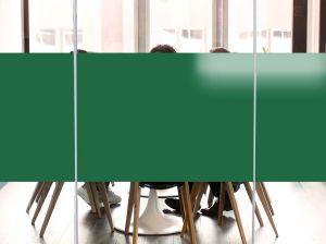 Film vitrage opacifiant vert - Luminis Films